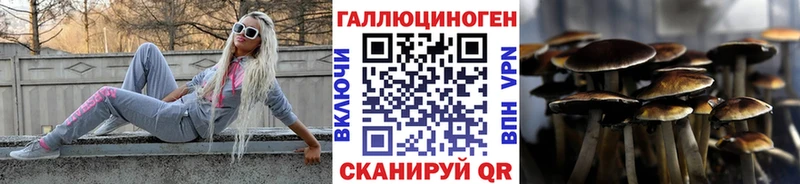 купить наркотики цена Сухой Лог Псилоцибиновые грибы мухоморы